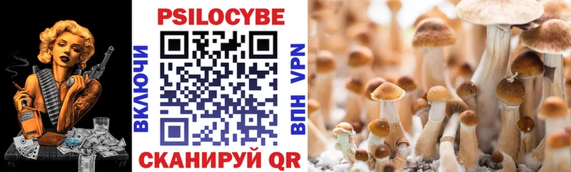 дарнет шоп  Томилино  Псилоцибиновые грибы Cubensis 